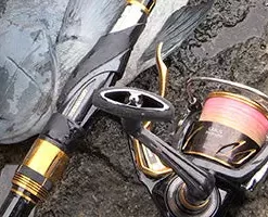 2019 Daiwa Laxus LBD 18 2019 Daiwa Laxus LBD -Fishing Reels Shop 08 quick 02