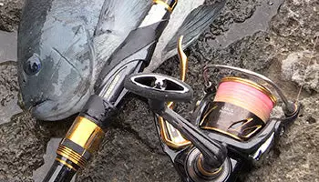 2019 Daiwa Laxus LBD 9 2019 Daiwa Laxus LBD - Image 9