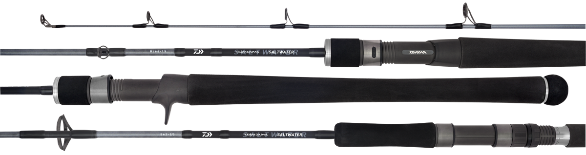 2020 DAIWA TD SALTWATER SPIN 1 2020 DAIWA TD SALTWATER SPIN