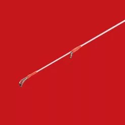 Shimano 2019 Sephia SS Eging Rod -Fishing Reels Shop 63434 feature1