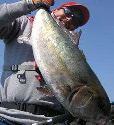 MC Works Raging Bull RB100XR-1 (Shore Casting Rod)