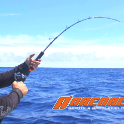 Ocean's Legacy Adrenalin Deep Game Jigging Rod (Spin) -Fishing Reels Shop Aderlia