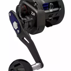 Daiwa Saltiga Bay Jigging Overhead