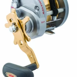 Daiwa Saltist Levelwind