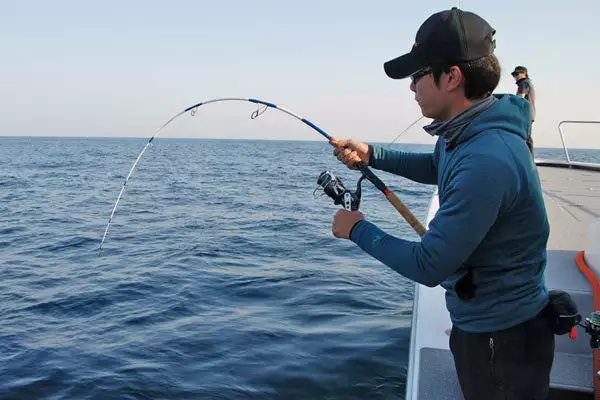 MC Works Dual Edge 643LR Low Response Jigging Rod 6 MC Works Dual Edge 643LR Low Response Jigging Rod - Image 6