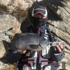 Sunline V-Hard Fluorocarbon Leader 100M 5 Sunline V-Hard Fluorocarbon Leader 100M -Fishing Reels Shop DSC0038 7 c85efd2d 5a5d 4dc7 99c5 aa1538d245e7