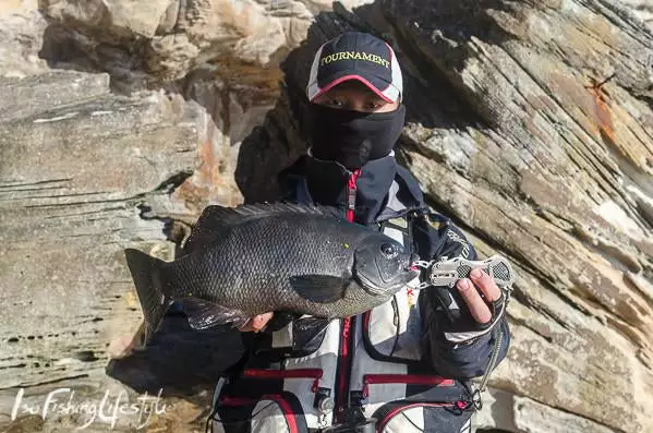 Sunline V-Hard Fluorocarbon Leader 100M 3 Sunline V-Hard Fluorocarbon Leader 100M - Image 3