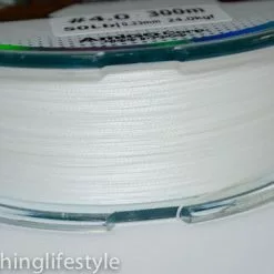 Delux Amigo Super PE Braid 300m Spool -Fishing Reels Shop DSC 0118 95d5c4f0 01ad 40aa 9c04 4d04b1427bfd