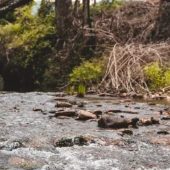 Daiwa 21 Presso -Fishing Reels Shop Daiaw22PressoReel6