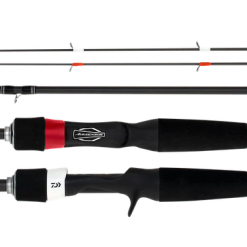 (Pre-Order Only) Daiwa 20 Infeet Z Baitcast