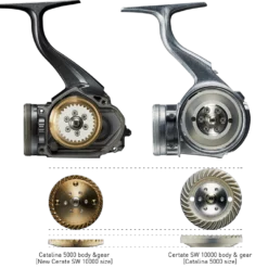 2021 Daiwa Certate SW -Fishing Reels Shop DaiwaCertateSW2