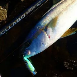 FCL LABO UC11.5ft 2S (Double S) (Spinning) 14 FCL LABO UC11.5ft 2S (Double S) (Spinning) -Fishing Reels Shop FCLLaboUC11.5ft2S4