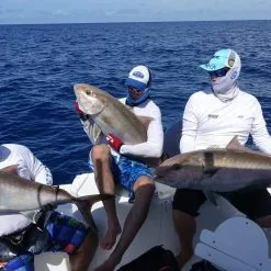 Ocean's Legacy Adrenalin Deep Game Jigging Rod (Spin) -Fishing Reels Shop IMG 8722