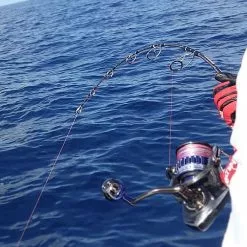 Ocean's Legacy Adrenalin Deep Game Jigging Rod (Spin) -Fishing Reels Shop IMG 8729