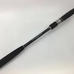 Ocean's Legacy Dream Cast Spinning Rod -Fishing Reels Shop IMG 8912 scaled 1