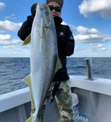 MC Works Magic Trigger 661LR STD