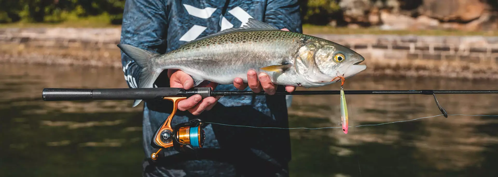 (Pre-order) Daiwa 23 Aird LT 5 (Pre-order) Daiwa 23 Aird LT - Image 5