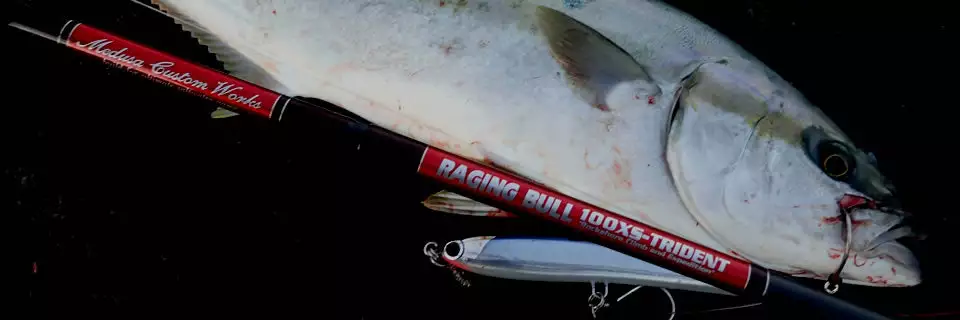 MC Works 2022 Raging Bull 100XS-Trident SP 3 MC Works 2022 Raging Bull 100XS-Trident SP - Image 3