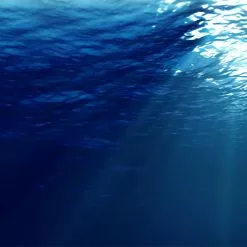 Ripple Fisher Runner Exceed 103H 25th Anniversary Christmas Limited Edition -Fishing Reels Shop RippleFisherRunnerExceed103H25thAnniversaryChristmasLimitedEdition