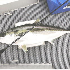 CB One Enfinity EN80/16 - Ultimate Dreamer -Fishing Reels Shop Screen Shot 2019 08 28 at 2.37.24 pm