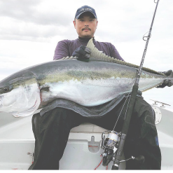 CB One Enfinity EN80/16 - Ultimate Dreamer -Fishing Reels Shop Screen Shot 2019 08 28 at 2.37.46 pm