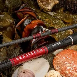 2019 Daiwa Seajigger Spin Rods -Fishing Reels Shop Seajigger 1 900x 1ce17b02 dba4 4b7d ab8c 204c27fd2303