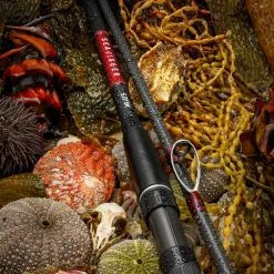 2019 Daiwa Seajigger Spin Rods -Fishing Reels Shop Seajigger 900x c7e64197 e4d4 47b2 81a7 f3900e13119f