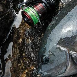 2019 Daiwa Cygnus LBD 15 2019 Daiwa Cygnus LBD -Fishing Reels Shop cygnus 001