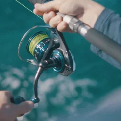 Daiwa 21 Saltist MQ -Fishing Reels Shop daiwasaltistMQ6