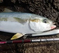 MC Works RB103XR-T SP