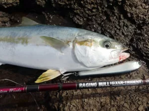 MC Works RB103XR-T SP 1 MC Works RB103XR-T SP