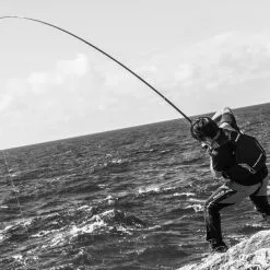 2018 Shimano Basis ISO BG 11 2018 Shimano Basis ISO BG -Fishing Reels Shop img 01