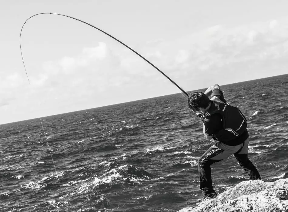 2018 Shimano Basis ISO BG 5 2018 Shimano Basis ISO BG - Image 5