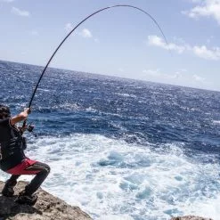 2018 Shimano Basis ISO BG 10 2018 Shimano Basis ISO BG -Fishing Reels Shop img imp takahashi main