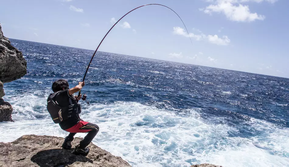 2018 Shimano Basis ISO BG 4 2018 Shimano Basis ISO BG - Image 4