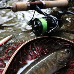 2019 Shimano Vanquish (NEW SIZES) 19 2019 Shimano Vanquish (NEW SIZES) -Fishing Reels Shop img main02 scaled