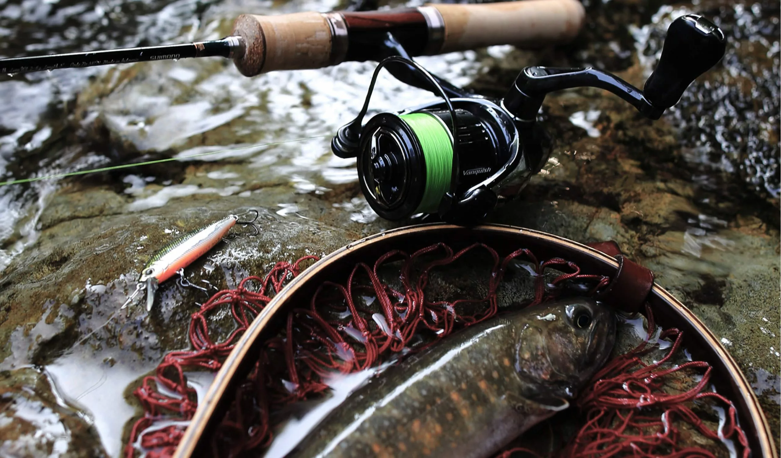 2019 Shimano Vanquish (NEW SIZES) 8 2019 Shimano Vanquish (NEW SIZES) - Image 8