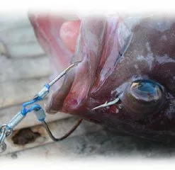 Sunline PE Jigger ULT4 PE Braid Line (Slow Pitch Special) 1200m 9 Sunline PE Jigger ULT4 PE Braid Line (Slow Pitch Special) 1200m -Fishing Reels Shop pe jigslow04