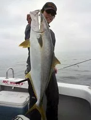 MC Works Real Fusion RF612LR (Special Model) -Fishing Reels Shop real fusion 612LR SP