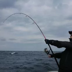 MC Works Seven Miles SM816CR