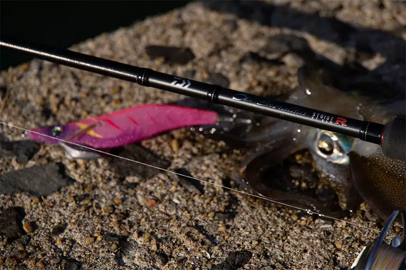 Daiwa 21 Emeraldas STOIST RT 1 Daiwa 21 Emeraldas STOIST RT