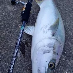 MC Works 2022 Strange Blue SB104R SP -Fishing Reels Shop strange blue 103r SP thumbnail 6499b28d cf4a 4314 93e2 ba8e29f39682