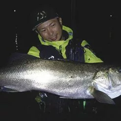 DAIWA 2019 Morethan Branzino 97ML/M 29 DAIWA 2019 Morethan Branzino 97ML/M -Fishing Reels Shop tester impre mosp 02