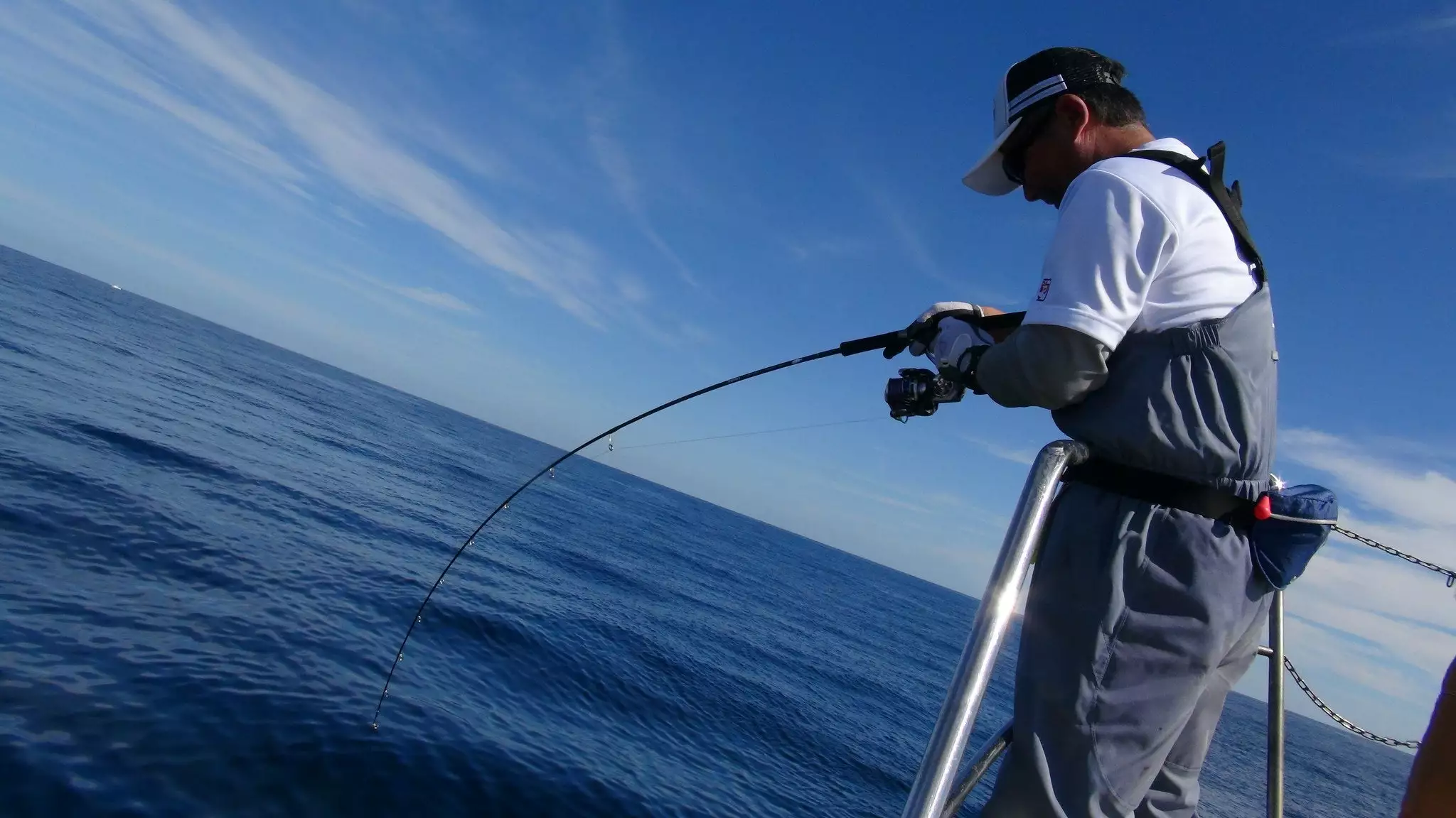 Zenaq Fokeeto Whippy FS63-5 2 Zenaq Fokeeto Whippy FS63-5 - Image 2